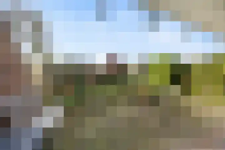 de Geerkamp 1028 Nijmegen thumbnail 21