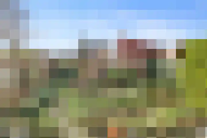 de Geerkamp 1028 Nijmegen thumbnail 22