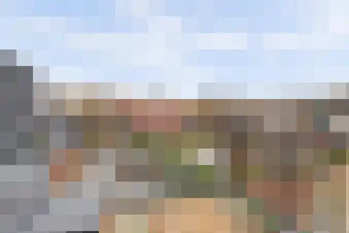 de Geerkamp 1033 Nijmegen thumbnail 17