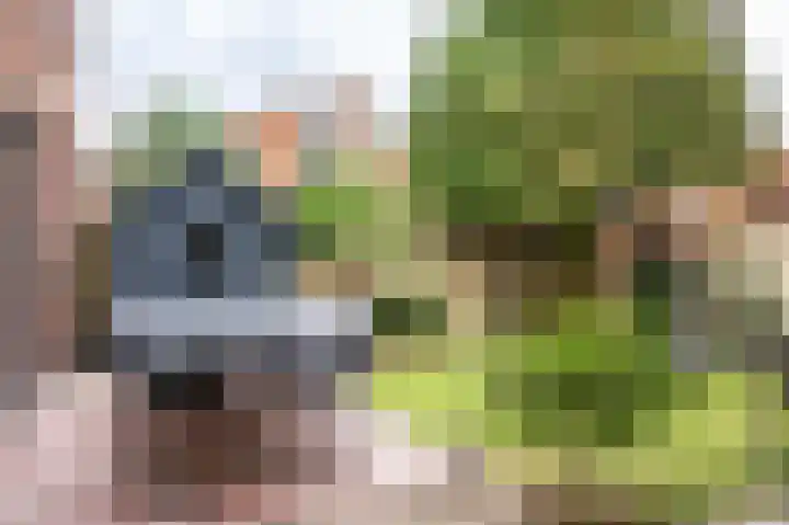 de Geerkamp 1205 Nijmegen thumbnail 38