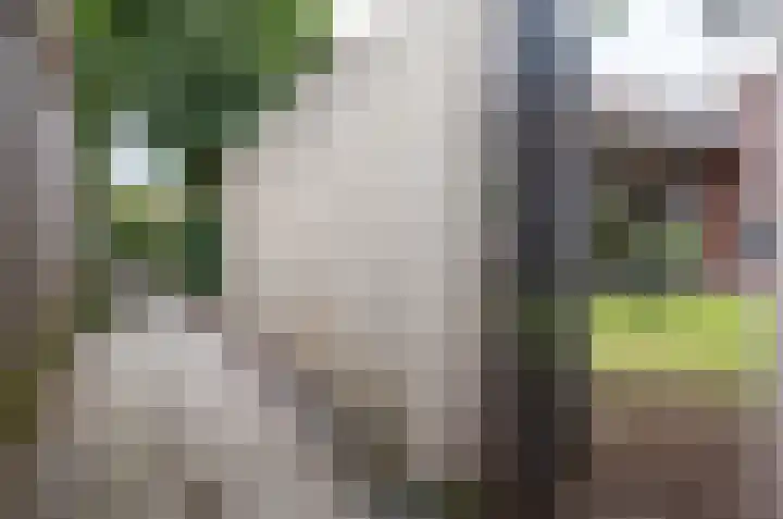 de Geerkamp 1205 Nijmegen thumbnail 43