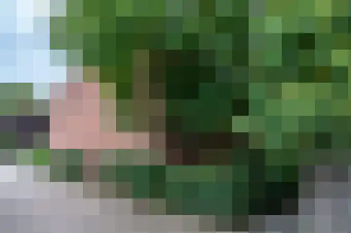de Geerkamp 1205 Nijmegen thumbnail 48
