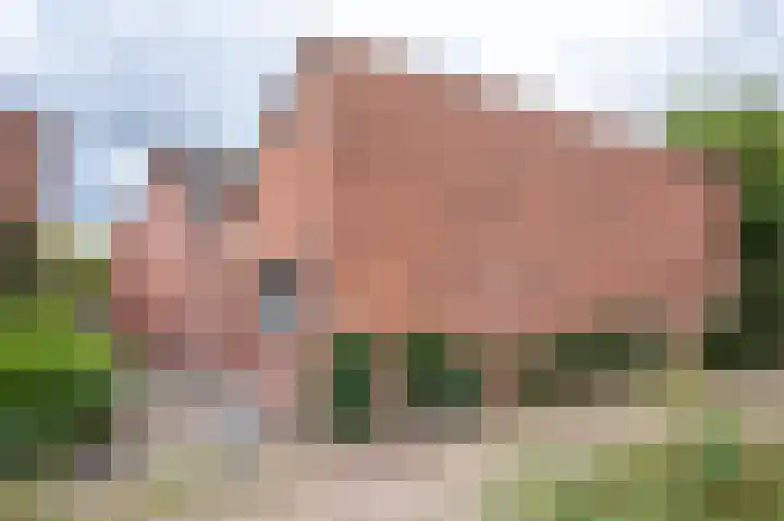 de Geerkamp 1205 Nijmegen thumbnail 50