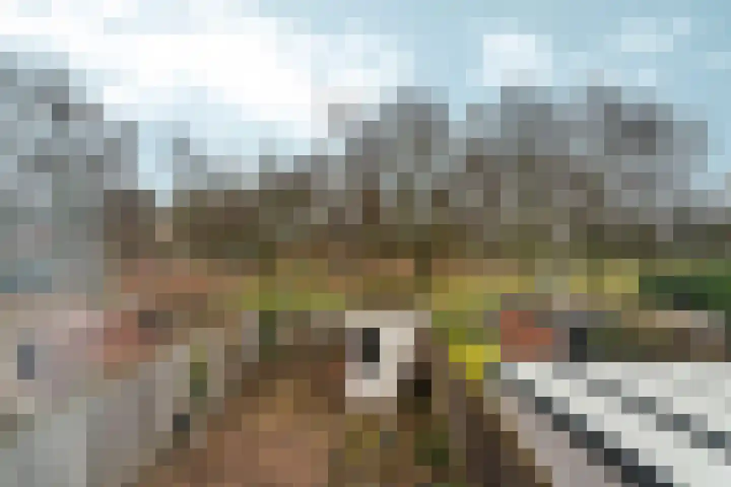 de Geerkamp 1316 Nijmegen thumbnail 20