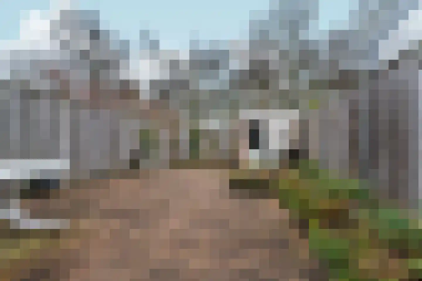 de Geerkamp 1316 Nijmegen thumbnail 25