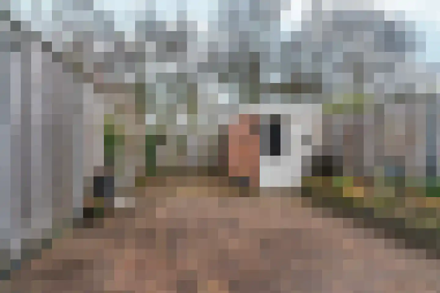 de Geerkamp 1316 Nijmegen thumbnail 26