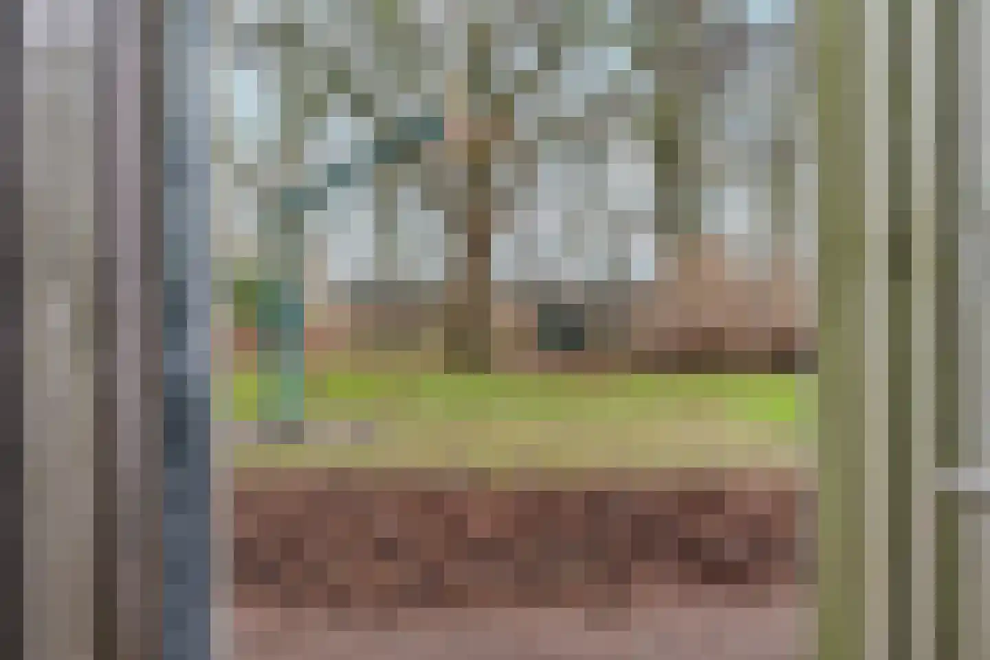 de Geerkamp 1316 Nijmegen thumbnail 32