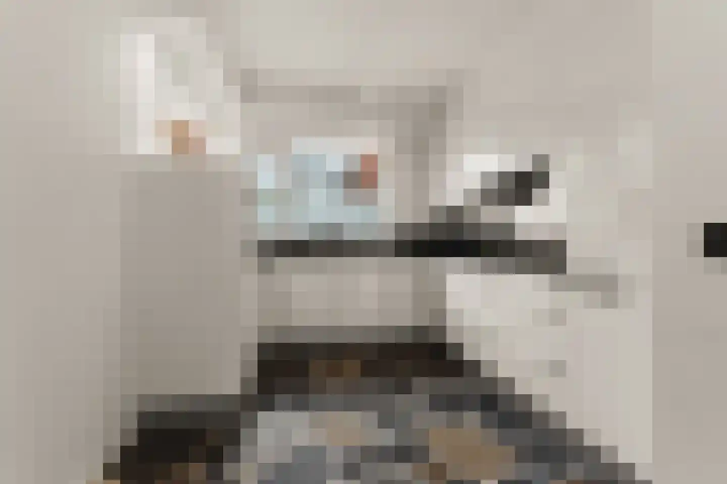 de Geerkamp 1316 Nijmegen thumbnail 39