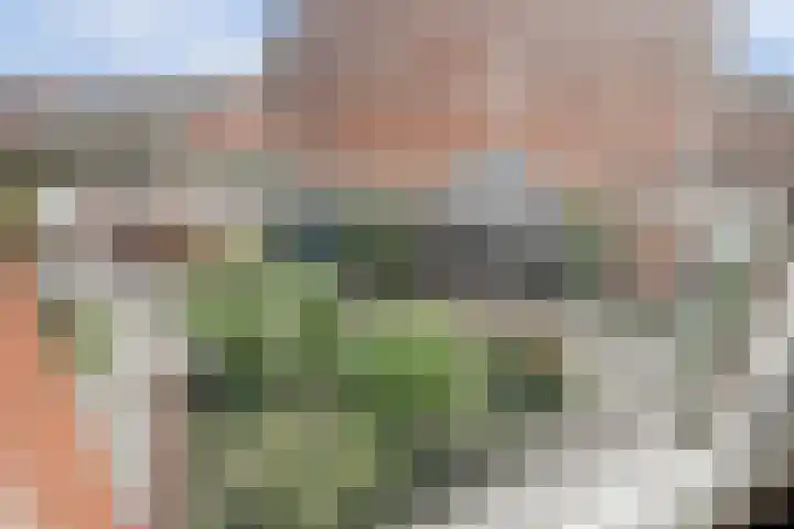 de Geerkamp 1421 Nijmegen thumbnail 17