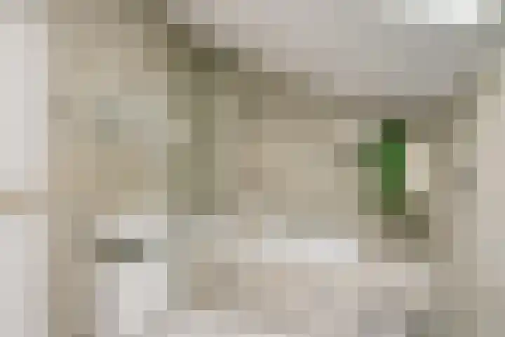 de Geerkamp 1421 Nijmegen thumbnail 21
