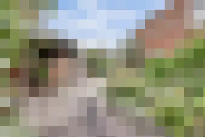 de Geerkamp 1421 Nijmegen thumbnail 27