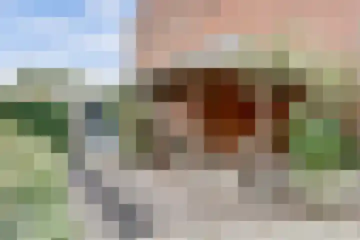 de Geerkamp 1421 Nijmegen thumbnail 31