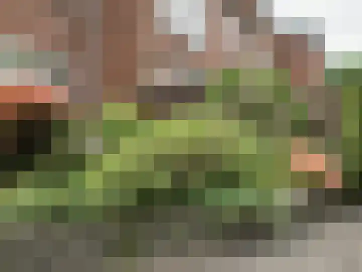 de Geerkamp 1421 Nijmegen thumbnail 37