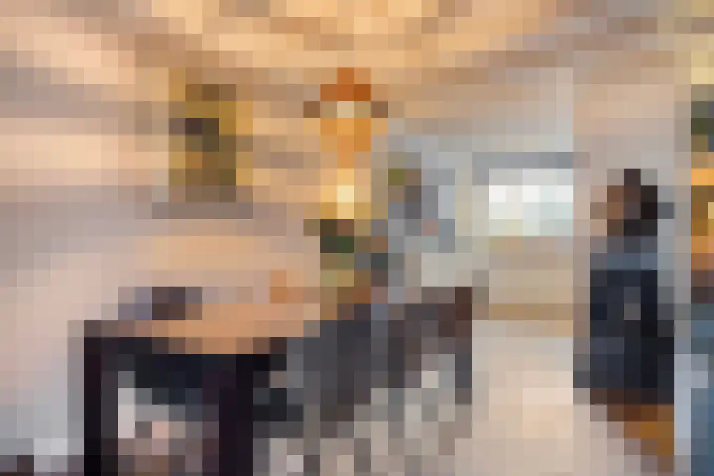 de Geerkamp 1524 Nijmegen thumbnail 17