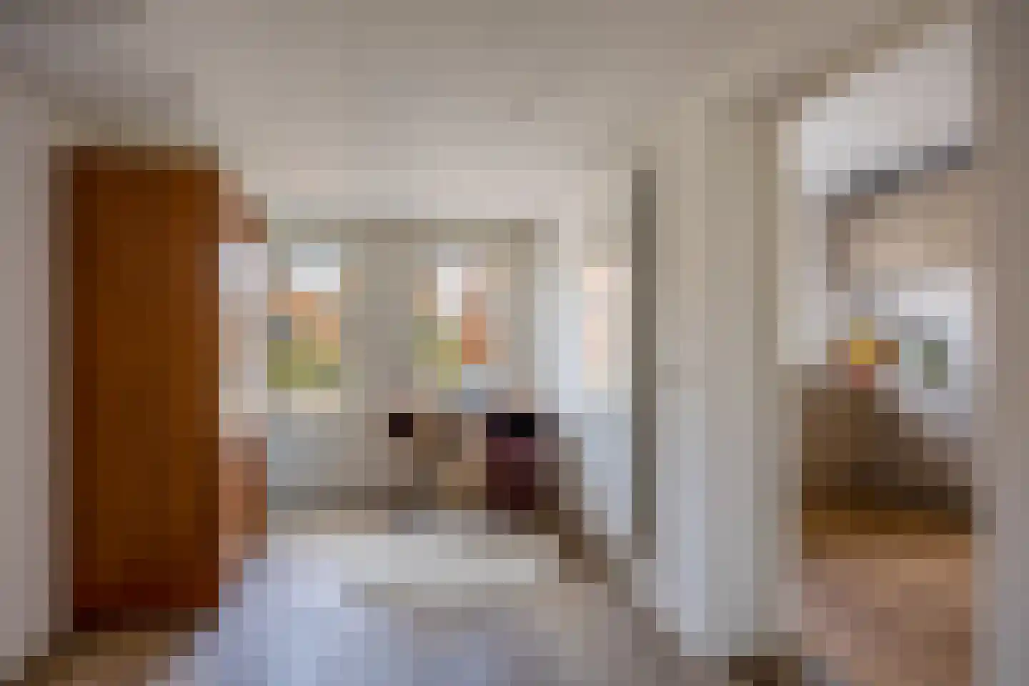 de Geerkamp 1528 Nijmegen thumbnail 17