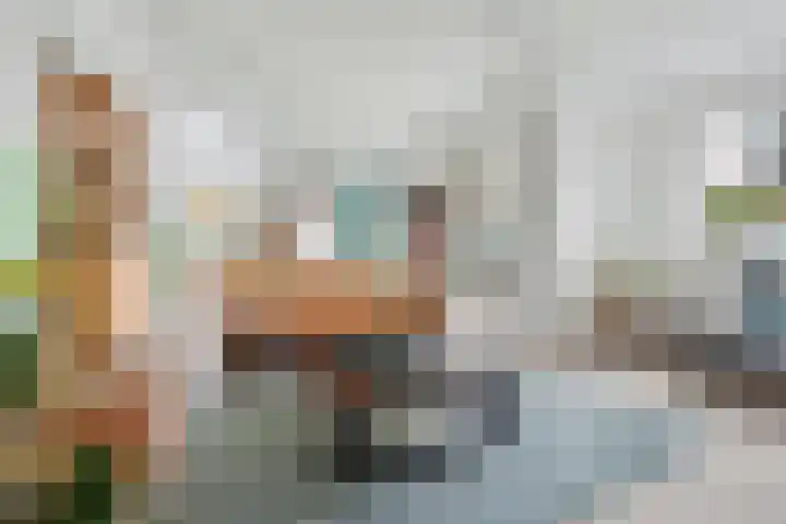 de Geerkamp 1551 Nijmegen thumbnail 10
