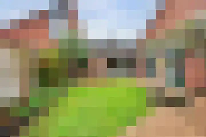 de Geerkamp 1551 Nijmegen thumbnail 33