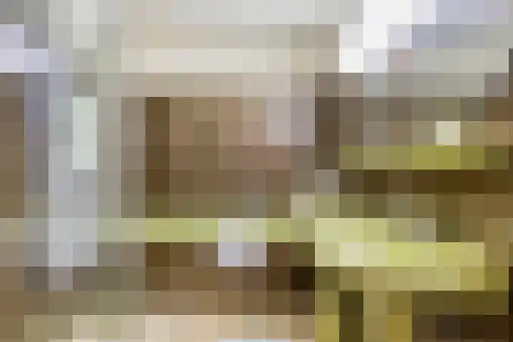 de Geerkamp 1557 Nijmegen thumbnail 29