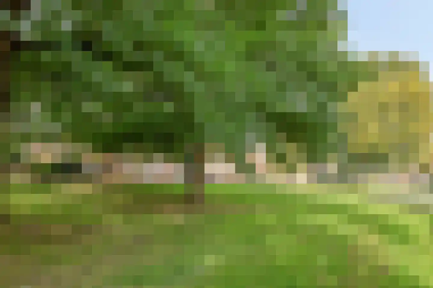 de Geerkamp 1644 Nijmegen thumbnail 27