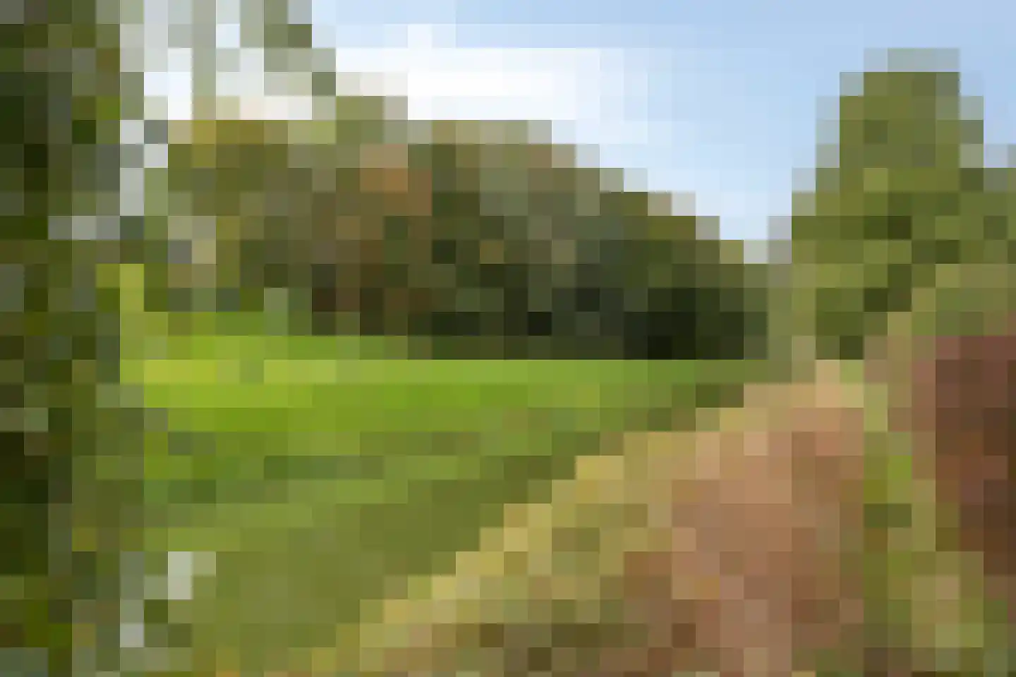 de Geerkamp 1644 Nijmegen thumbnail 28