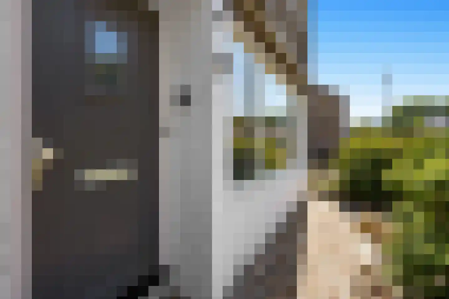 De Geeuw 12 Drachten thumbnail 16