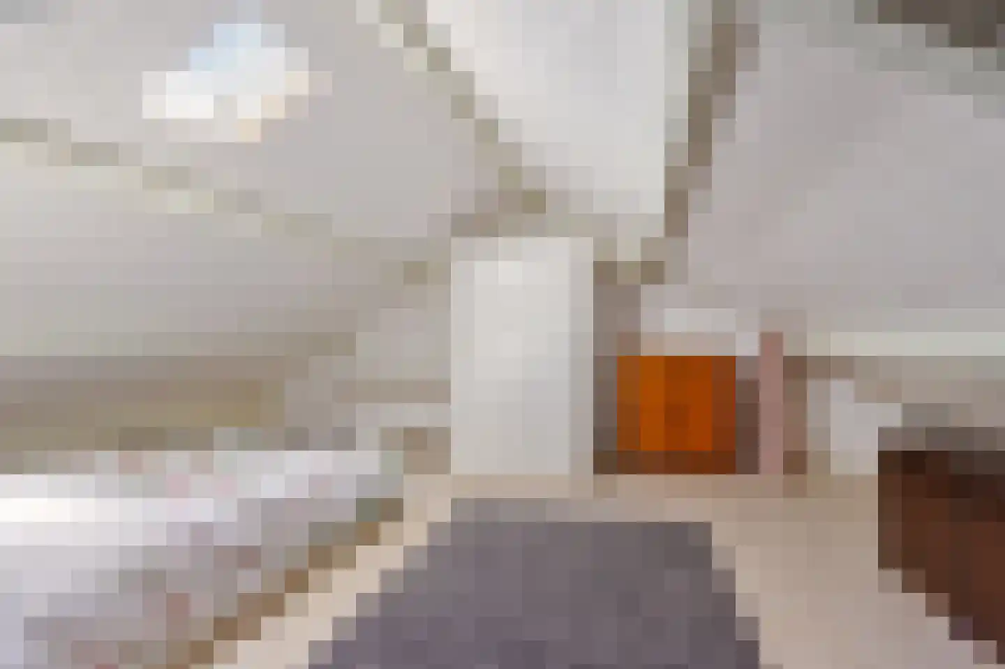 De Geeuw 12 Drachten thumbnail 41