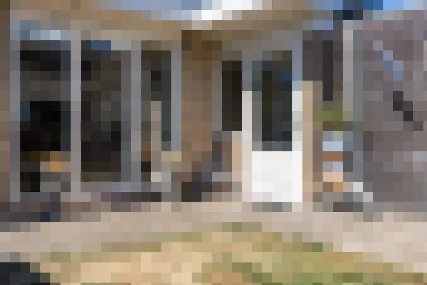 De Geeuw 12 Drachten thumbnail 43