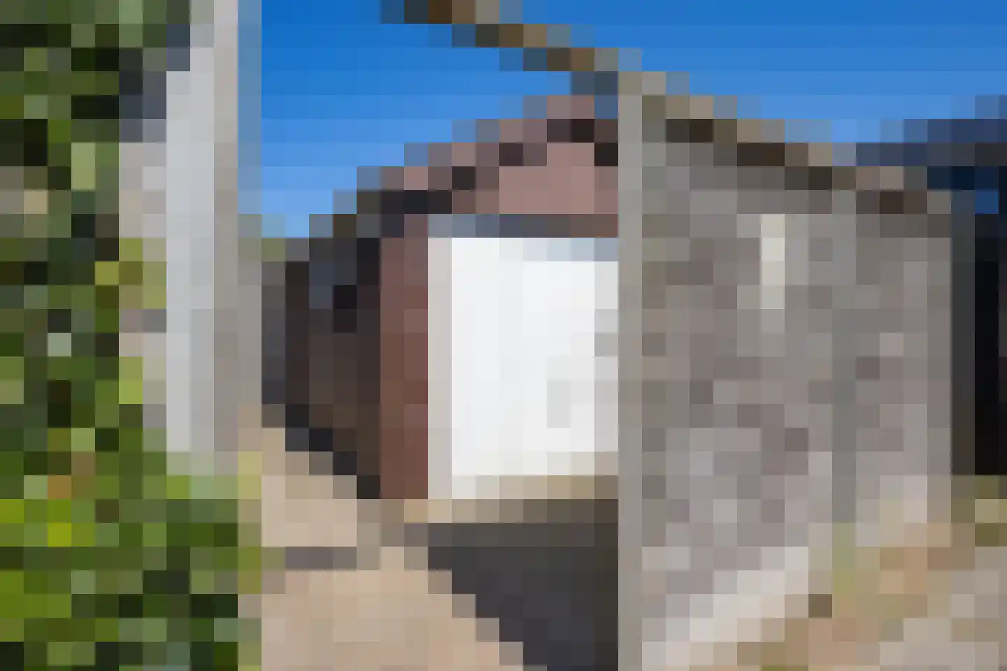 De Geeuw 12 Drachten thumbnail 48