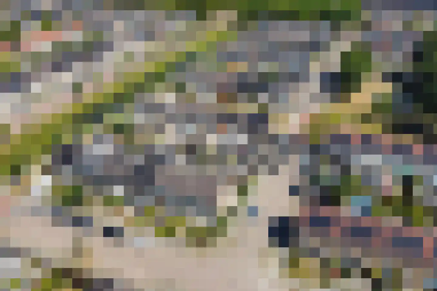 De Geeuw 12 Drachten thumbnail 5