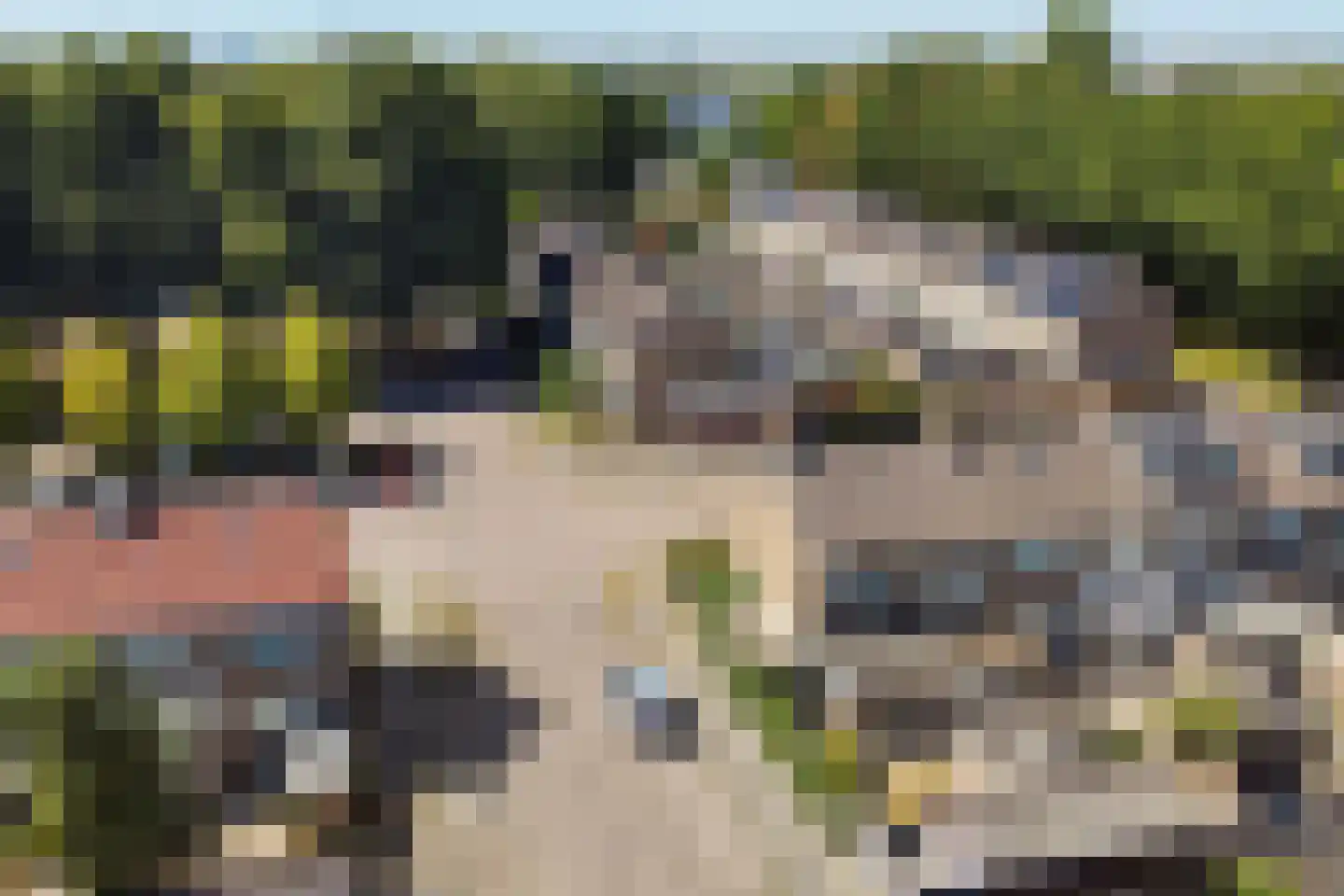 De Geeuw 12 Drachten thumbnail 8