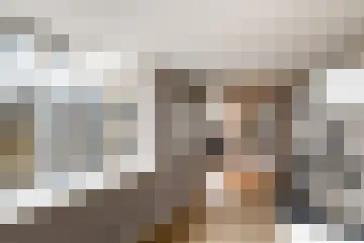 De Geeuw 14 Drachten thumbnail 12