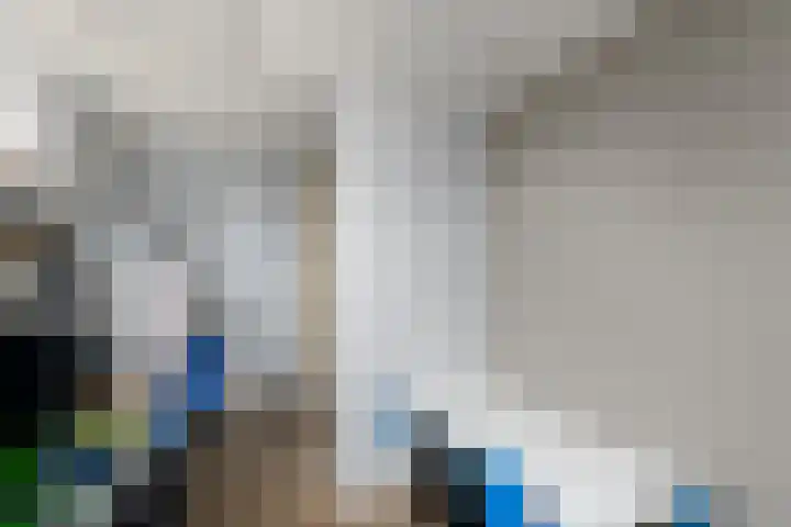 De Geeuw 14 Drachten thumbnail 14