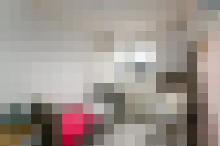 De Geeuw 14 Drachten thumbnail 20