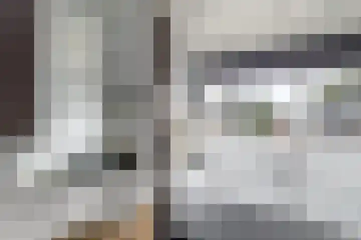 De Geeuw 14 Drachten thumbnail 21