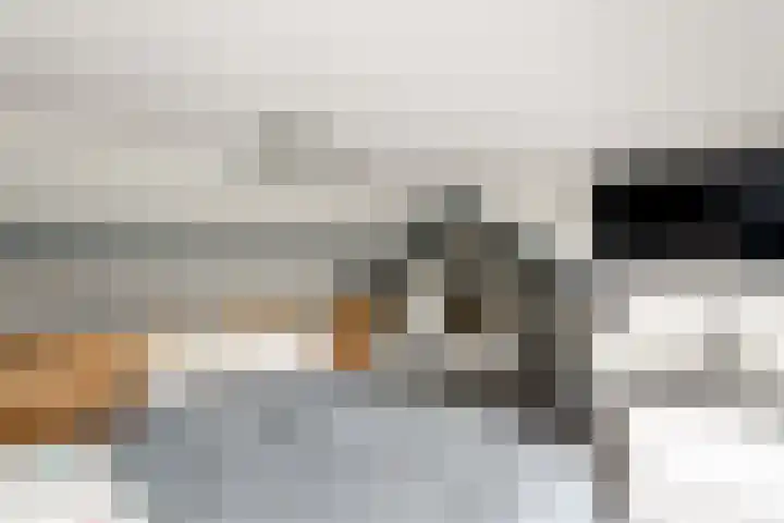 De Geeuw 14 Drachten thumbnail 25