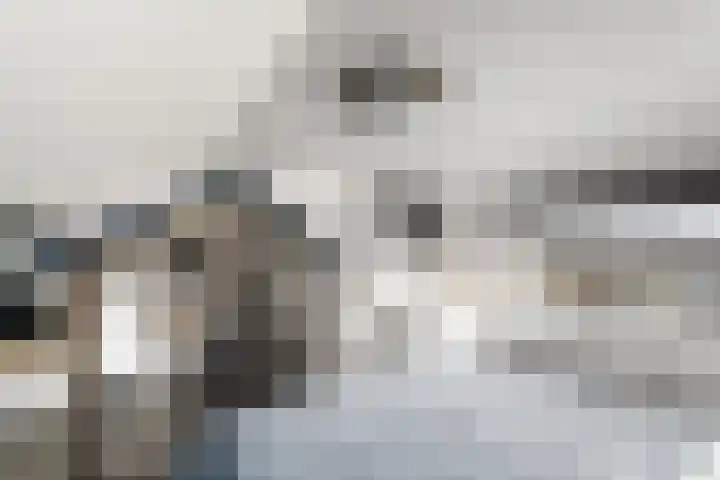 De Geeuw 14 Drachten thumbnail 26
