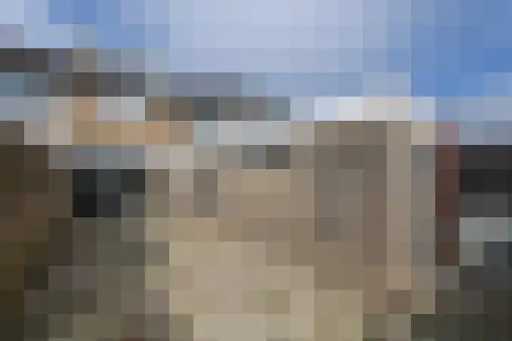 De Geeuw 14 Drachten thumbnail 27