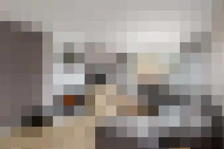De Geeuw 14 Drachten thumbnail 4
