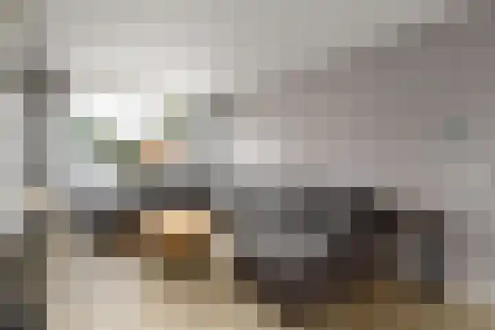De Geeuw 14 Drachten thumbnail 5