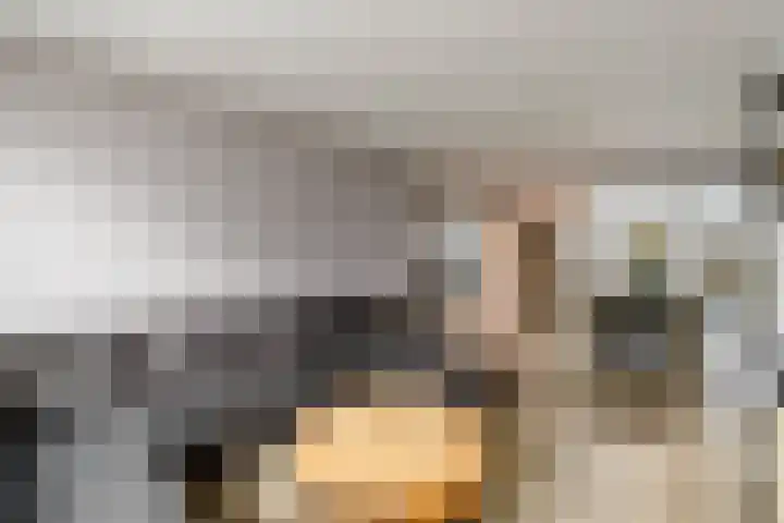De Geeuw 14 Drachten thumbnail 6