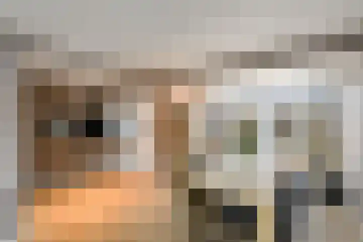 De Geeuw 14 Drachten thumbnail 7