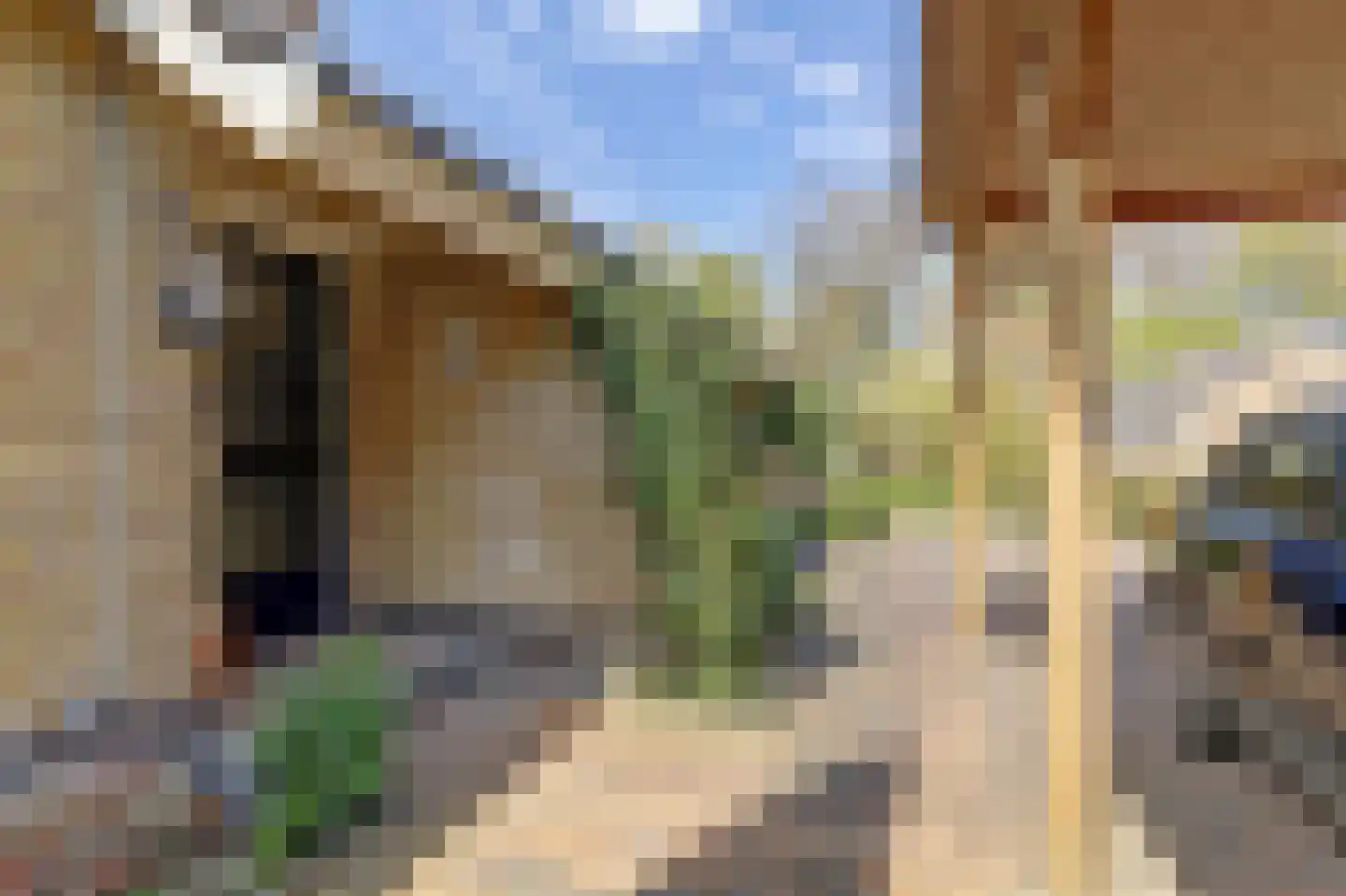 de Geise 4 Delfzijl thumbnail 10