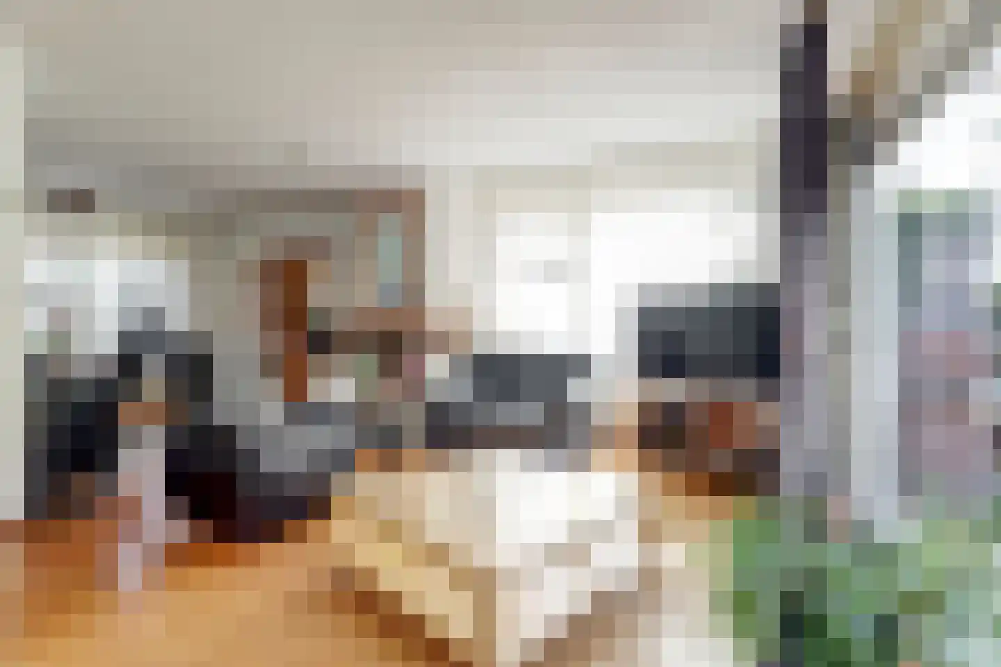 de Geise 4 Delfzijl thumbnail 18