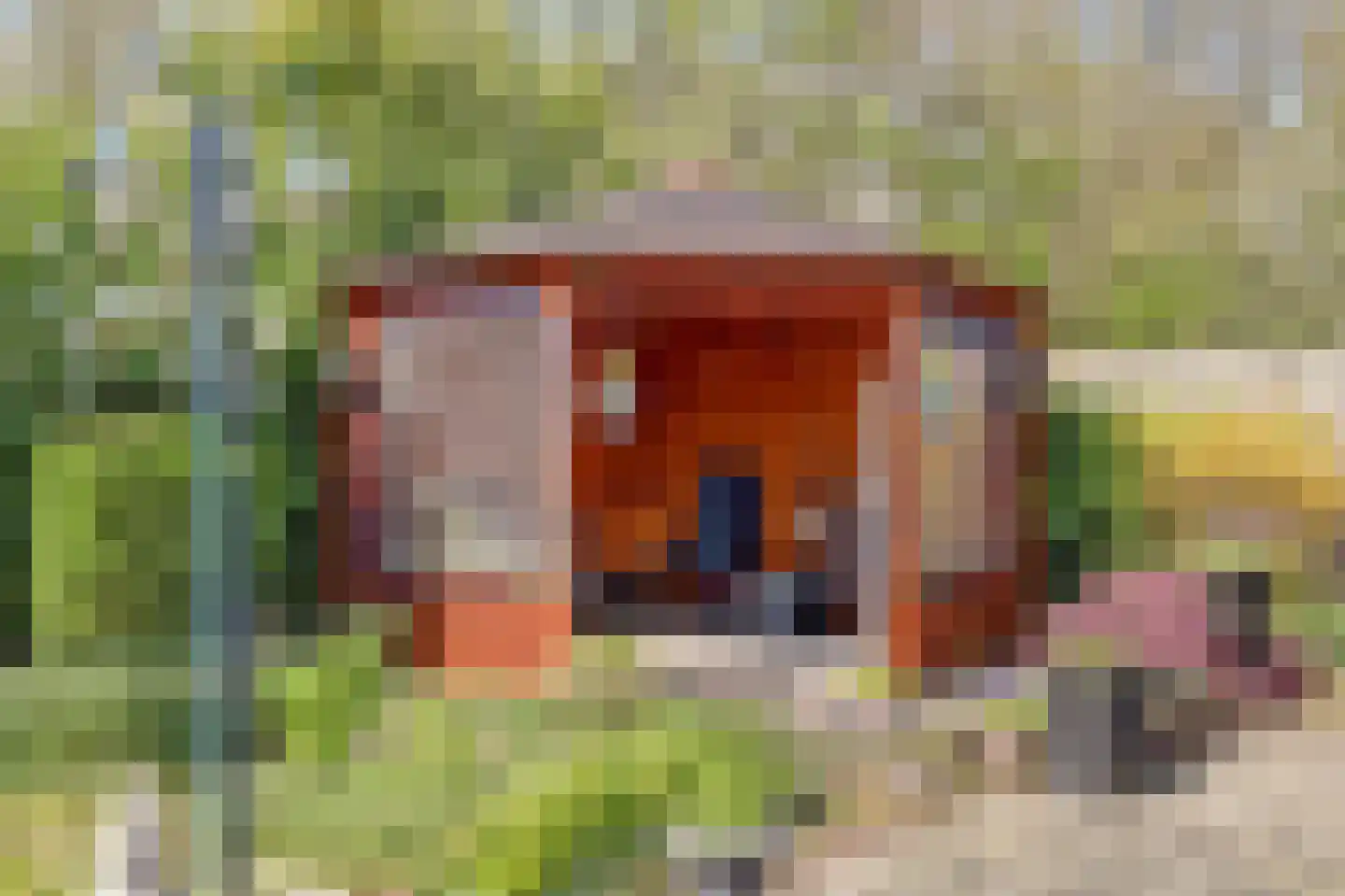de Geise 4 Delfzijl thumbnail 36
