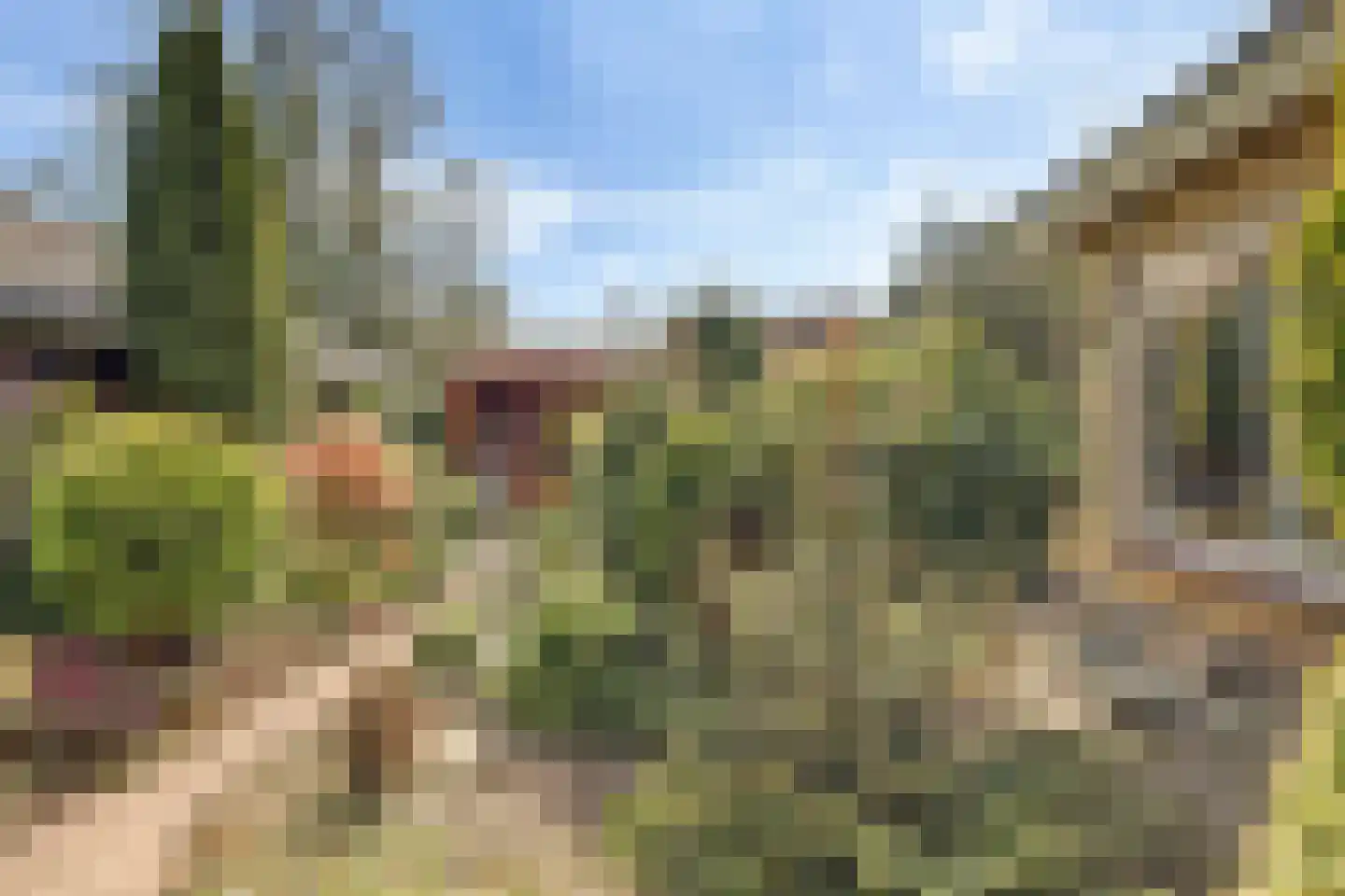de Geise 4 Delfzijl thumbnail 4