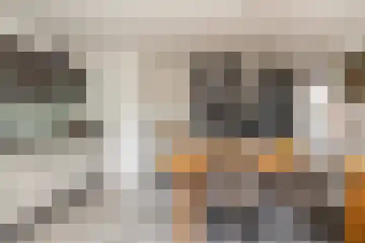 de Geise 6 Delfzijl thumbnail 14
