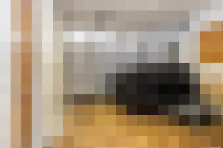 de Geise 6 Delfzijl thumbnail 23