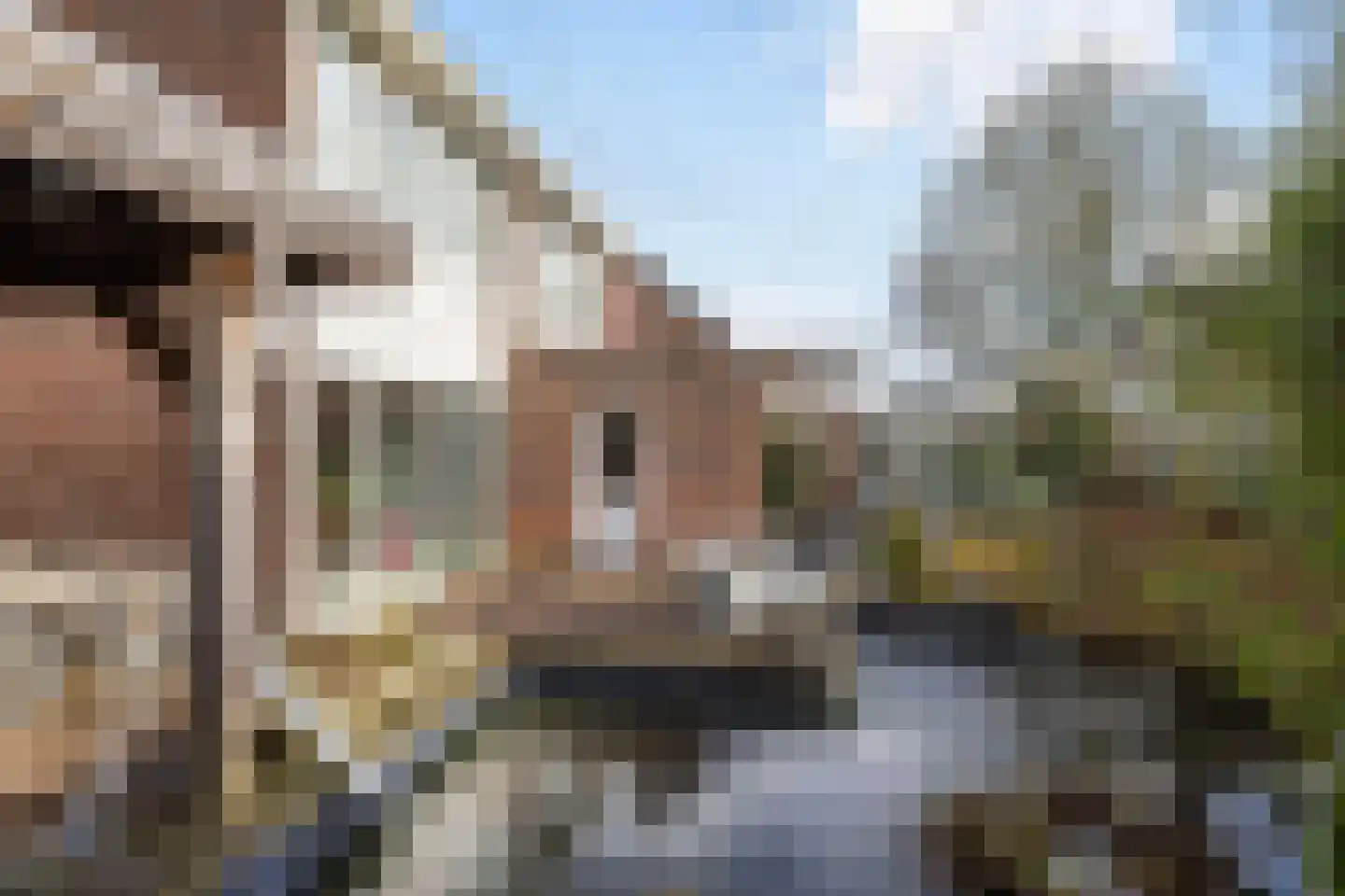 de Geise 6 Delfzijl thumbnail 31