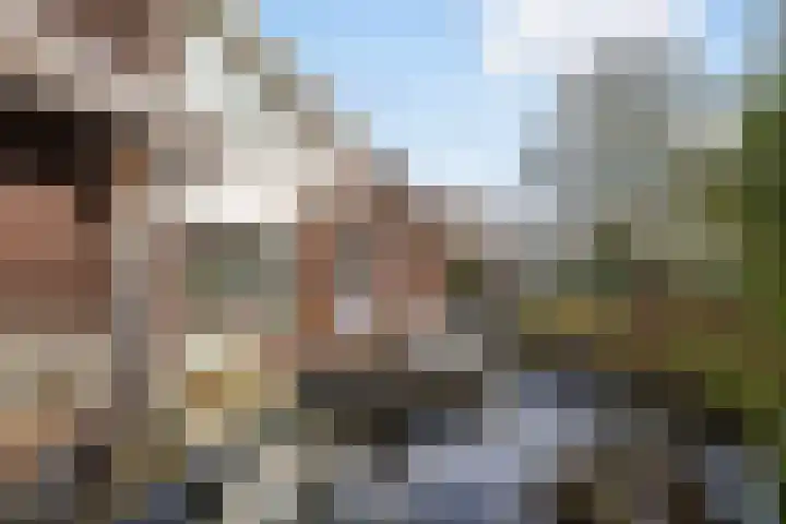 de Geise 6 Delfzijl thumbnail 31