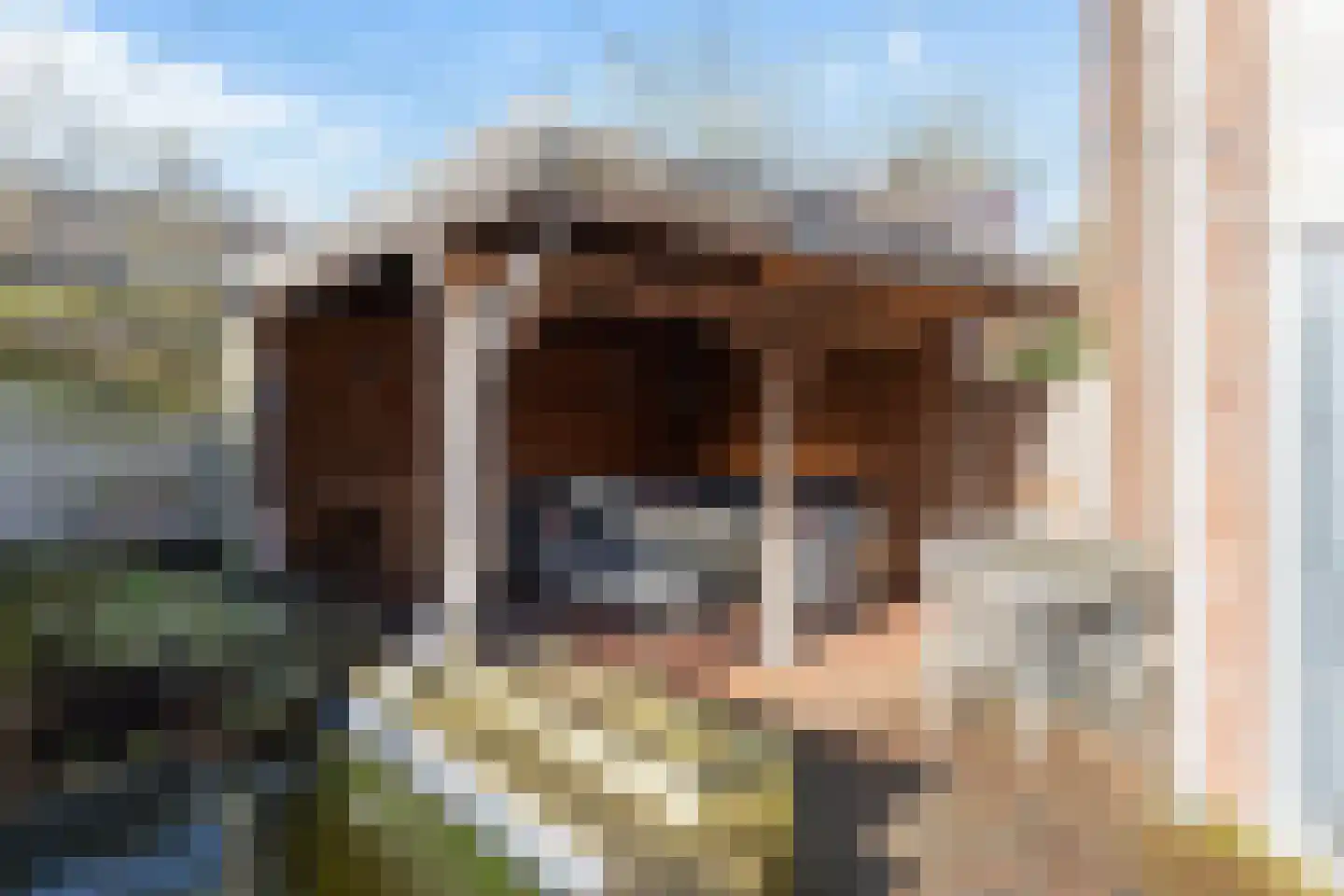de Geise 6 Delfzijl thumbnail 35